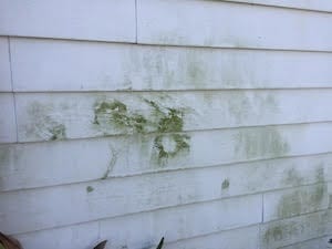 powerwash mold and mildew from house