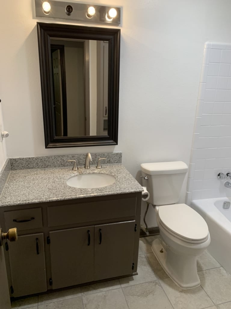 white guest bath and painted vanity