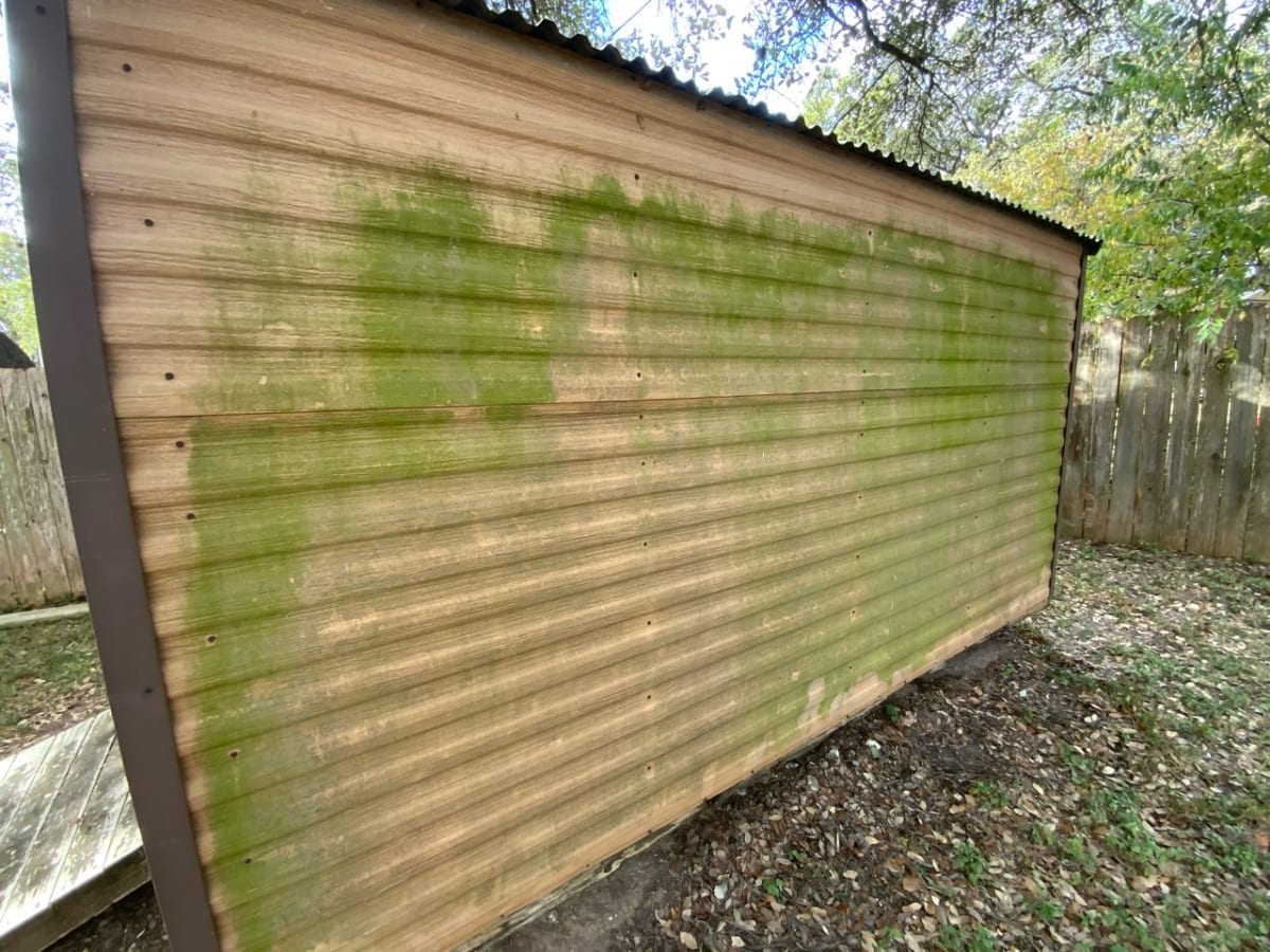 shed with mildew